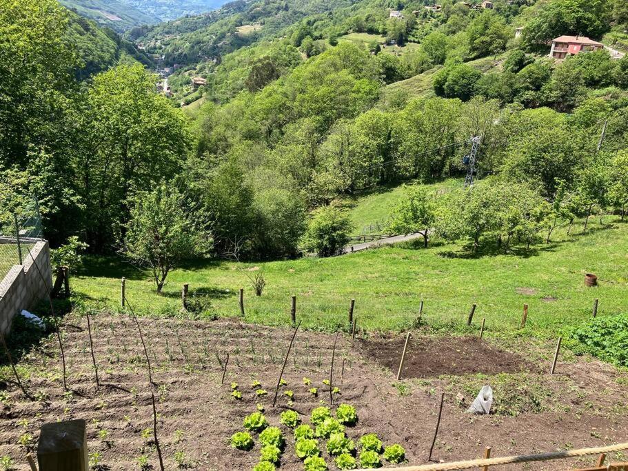 La So Casa -En El Corazon De Asturias Villa Armiello ภายนอก รูปภาพ
