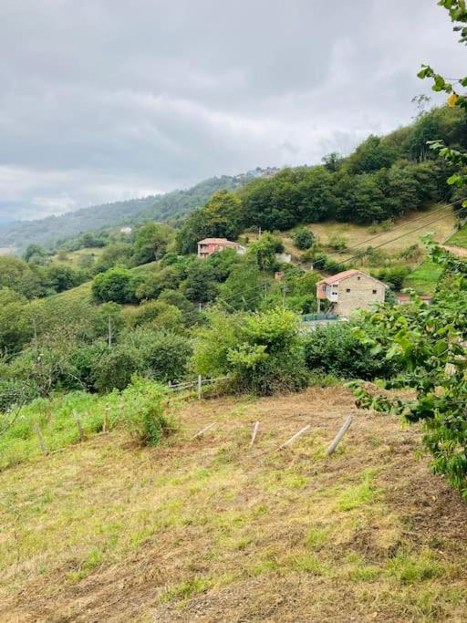 La So Casa -En El Corazon De Asturias Villa Armiello ภายนอก รูปภาพ