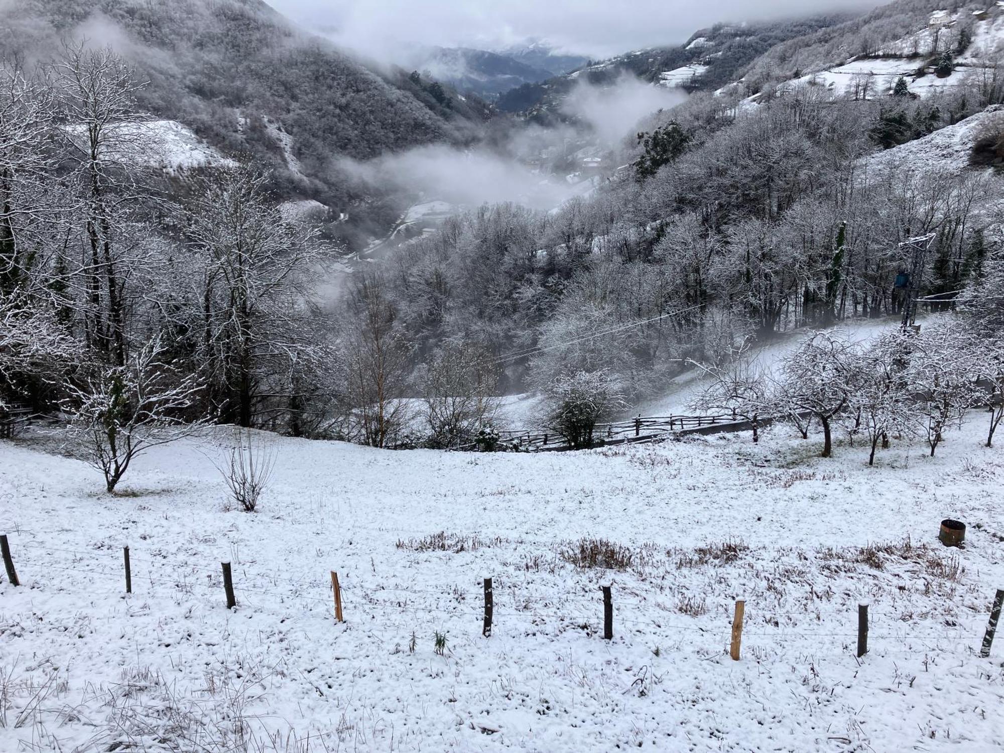 La So Casa -En El Corazon De Asturias Villa Armiello ภายนอก รูปภาพ